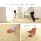 畳替え 『エアラッシュ』  樹脂 い草 表替え 張り替え 【88cm×176cm以下】江戸間・五八間・団地間 消臭 調湿 カラー畳