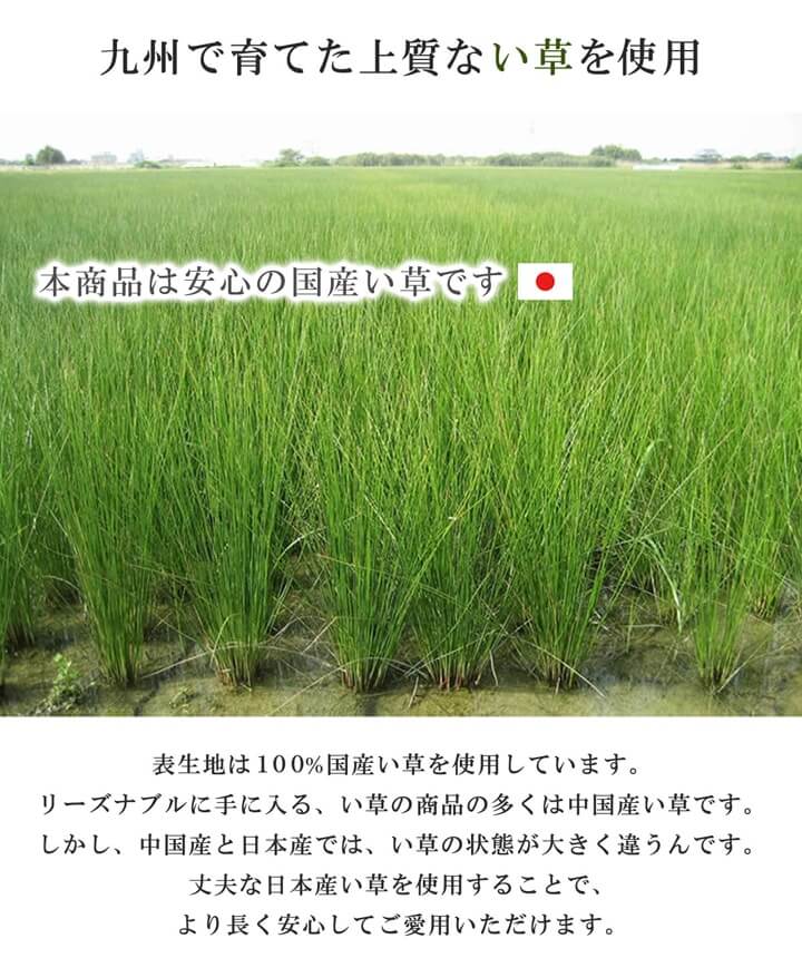 お父さん指定席＆枕 2点セット 大サイズ い草 い草枕 い草マット お昼寝 お昼寝マット 父の日 敬老の日 ギフト プレゼント