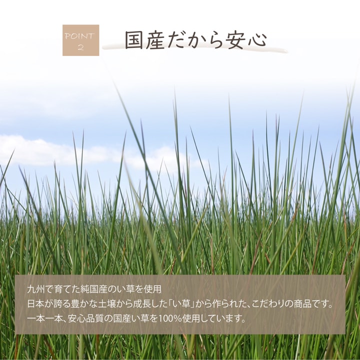 い草 消臭剤 デオグラス 靴箱 タンス クローゼット トイレ