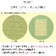 畳替え 和紙 縁付き 表替え 張り替え 【88cm×176cm以下】 江戸間・五八間・団地間 大建 ダイケン DAIKEN 大建工業 銀白 カラー畳 おしゃれ
