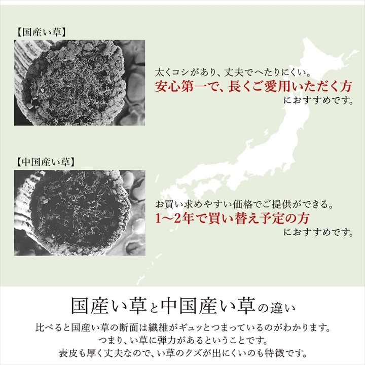 い草 ござ 上敷き ノア 国産 抗菌防臭 消臭