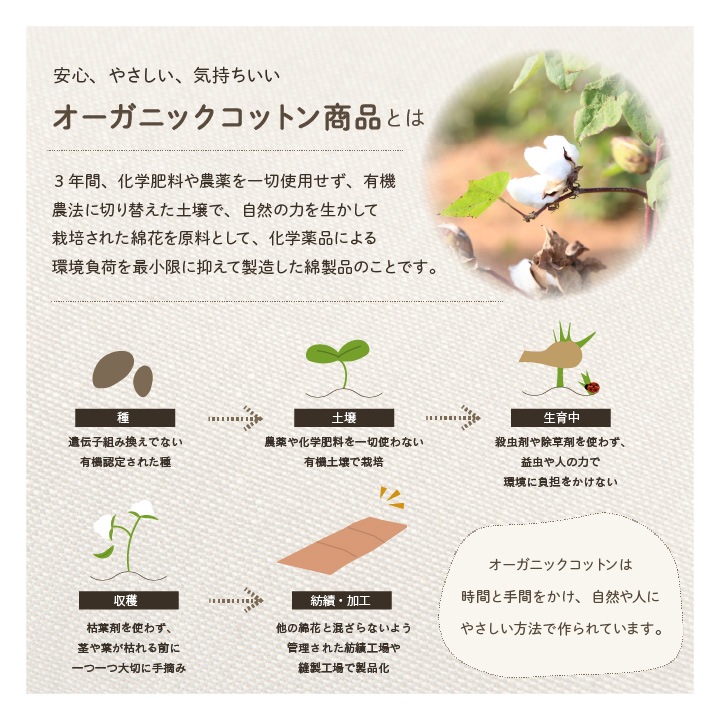 クッション フロー バテイ オーガニックコットン 綿100% ボーダー 洗える 約43×41cm