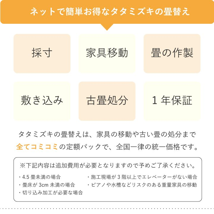 畳替え 和紙 縁付き 新調 交換 【88cm×176cm】 江戸間・五八間・団地間 大建 ダイケン DAIKEN 大建工業 銀白 カラー畳 おしゃれ