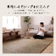 い草ラグ DXノア 裏貼 国産 抗菌防臭 消臭 和モダン 2畳 3畳 4.5畳 6畳