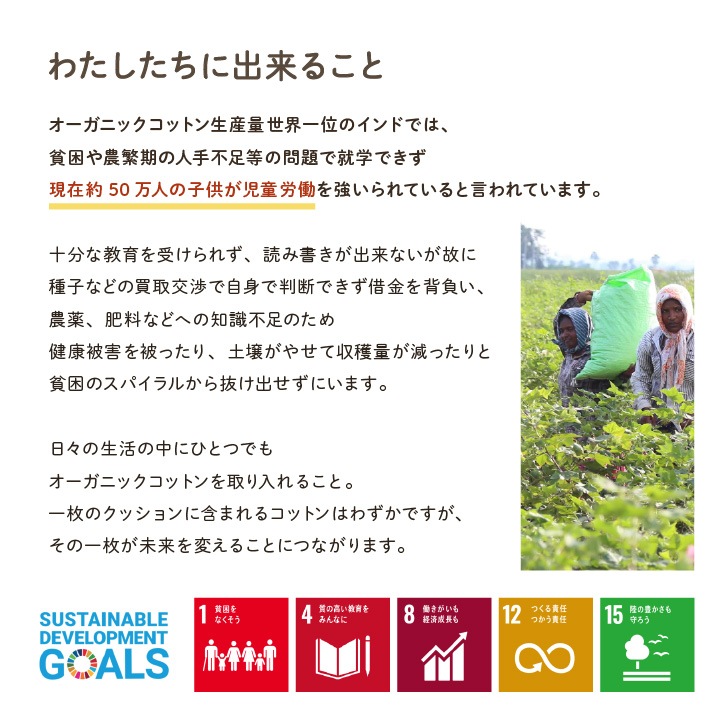 クッション フロー 寄りかかり オーガニックコットン 綿100% ボーダー 洗える 約55×35×25cm