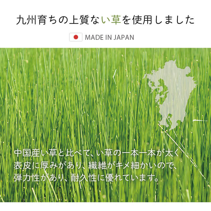 国産 い草 置き畳 アンパンマン 約70×70cm 単品