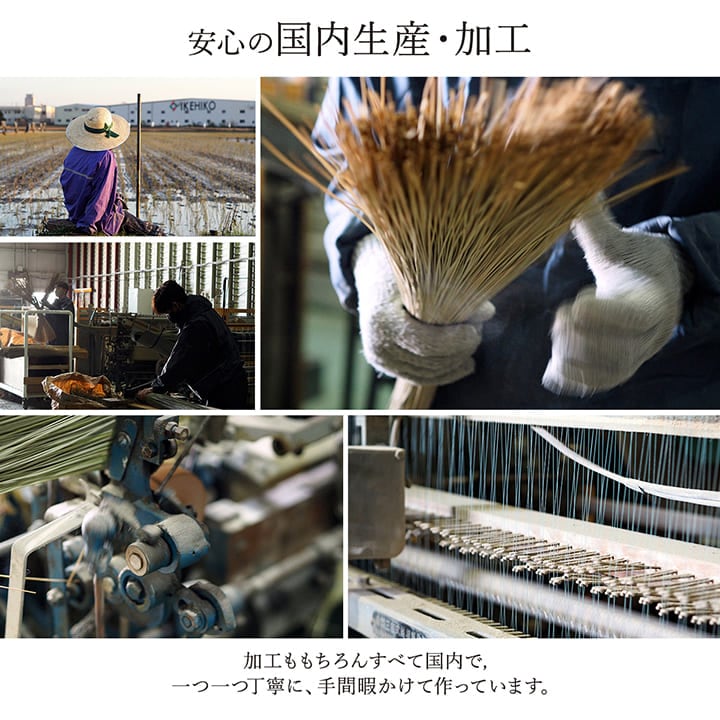 い草の花柄キッチンマット Fガーベラ