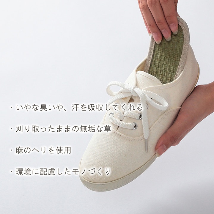 い草 インソール みらい 23cm 24cm 25cm 26cm 27cm イルシコシリーズ