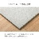 置き畳 ユニット畳 みらい 70×70cm 琉球畳 イルシコシリーズ