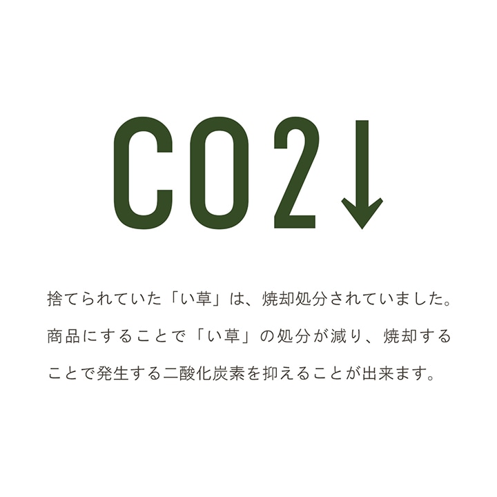 い草 フレグラス みらい 60cm(50g) 30cm(30g) イルシコシリーズ