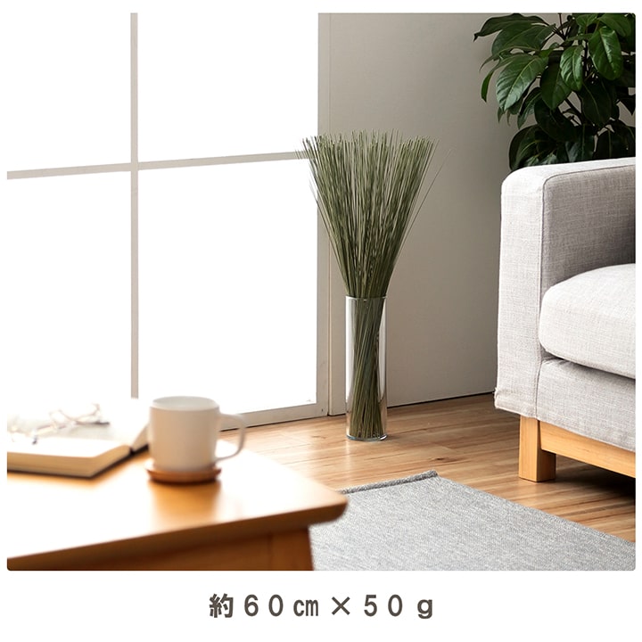 い草 フレグラス みらい 60cm(50g) 30cm(30g) イルシコシリーズ