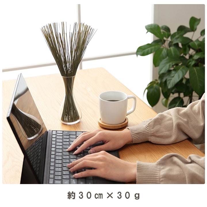 い草 フレグラス みらい 60cm(50g) 30cm(30g) イルシコシリーズ
