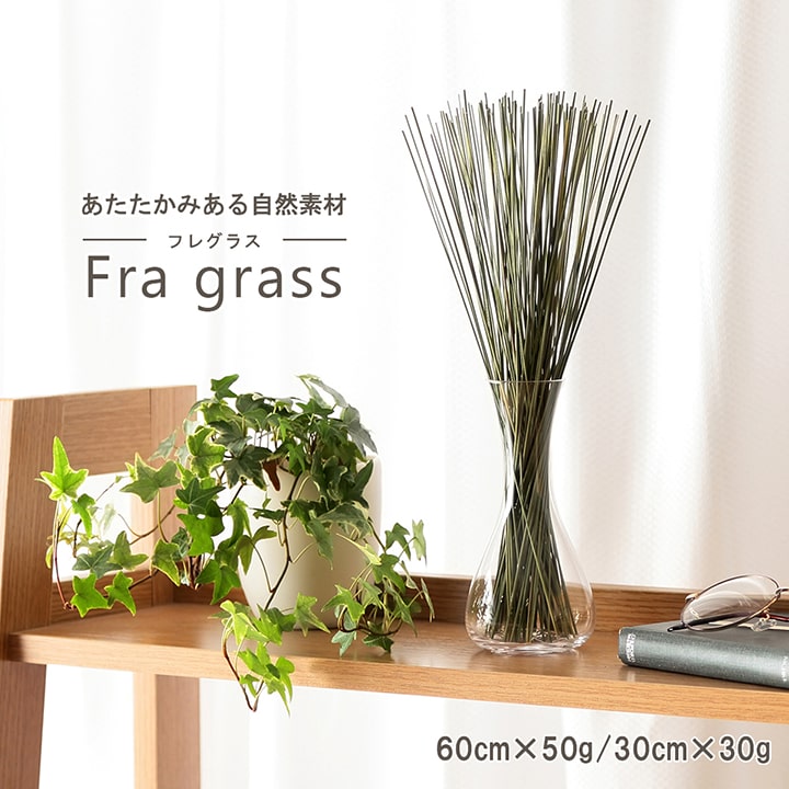 い草 フレグラス みらい 60cm(50g) 30cm(30g) イルシコシリーズ