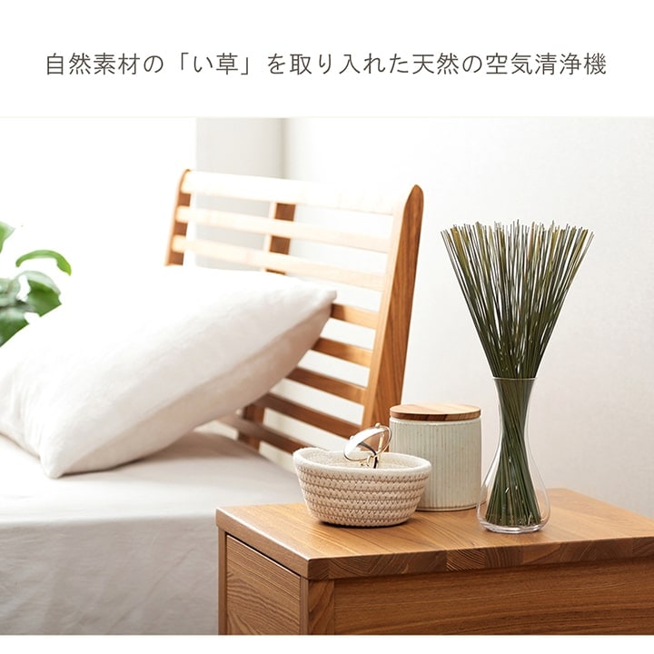 い草 フレグラス みらい 60cm(50g) 30cm(30g) イルシコシリーズ