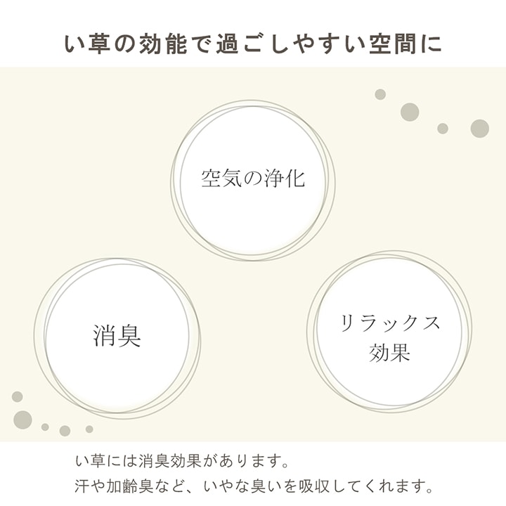 い草 フレグラス みらい 60cm(50g) 30cm(30g) イルシコシリーズ