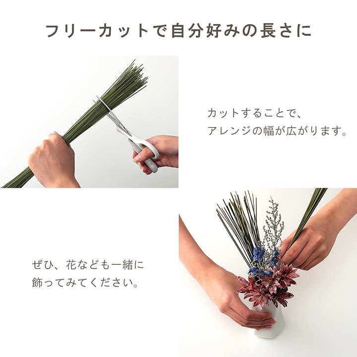い草 フレグラス みらい 60cm(50g) 30cm(30g) イルシコシリーズ