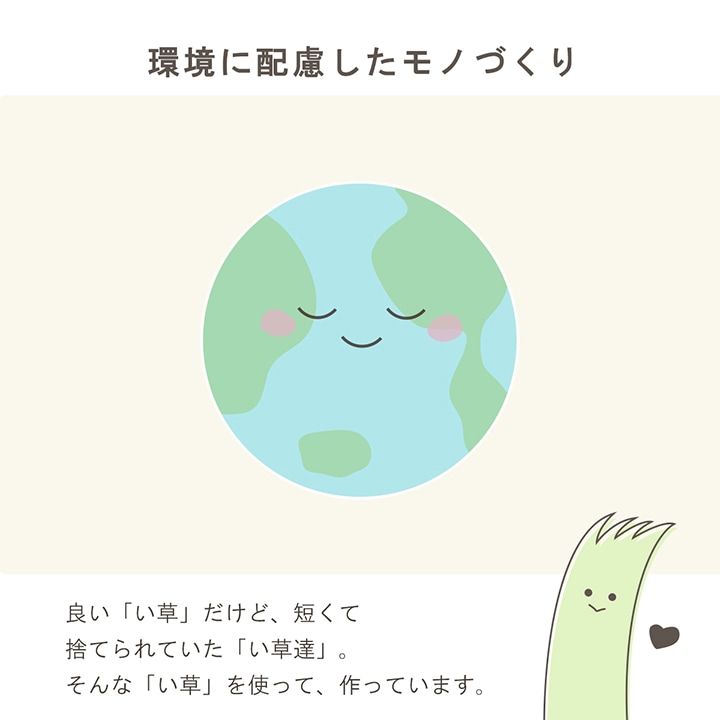 い草 フレグラス みらい 60cm(50g) 30cm(30g) イルシコシリーズ
