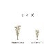 い草 フレグラス みらい 60cm(50g) 30cm(30g) イルシコシリーズ
