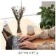い草 フレグラス みらい 60cm(50g) 30cm(30g) イルシコシリーズ