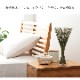 い草 フレグラス みらい 60cm(50g) 30cm(30g) イルシコシリーズ