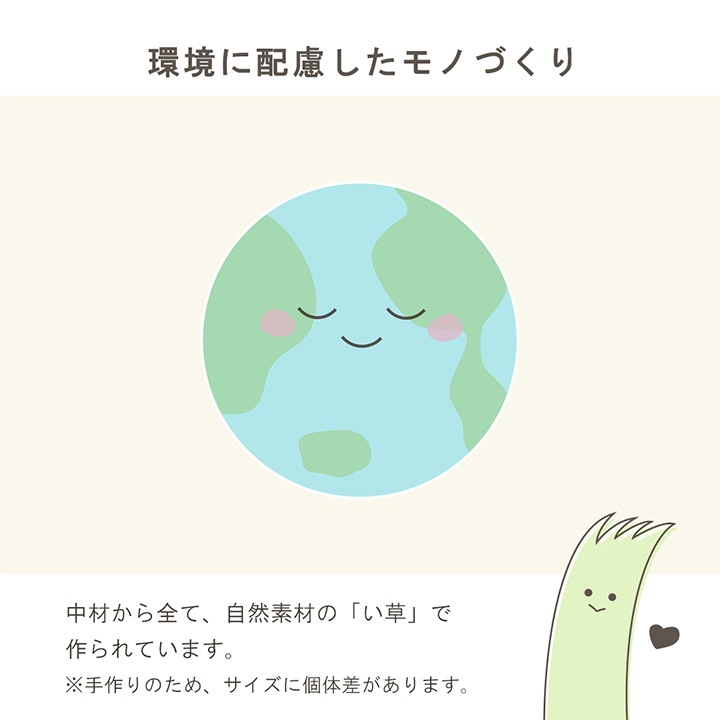 い草 編み円座 座布団 みらい 43cm円形 イルシコシリーズ