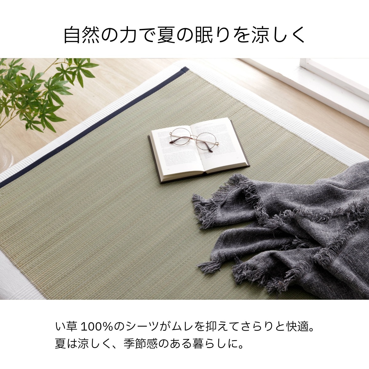 寝ござ い草シーツ スマート シングル 国産い草 80×180cm 無地 メセキ織