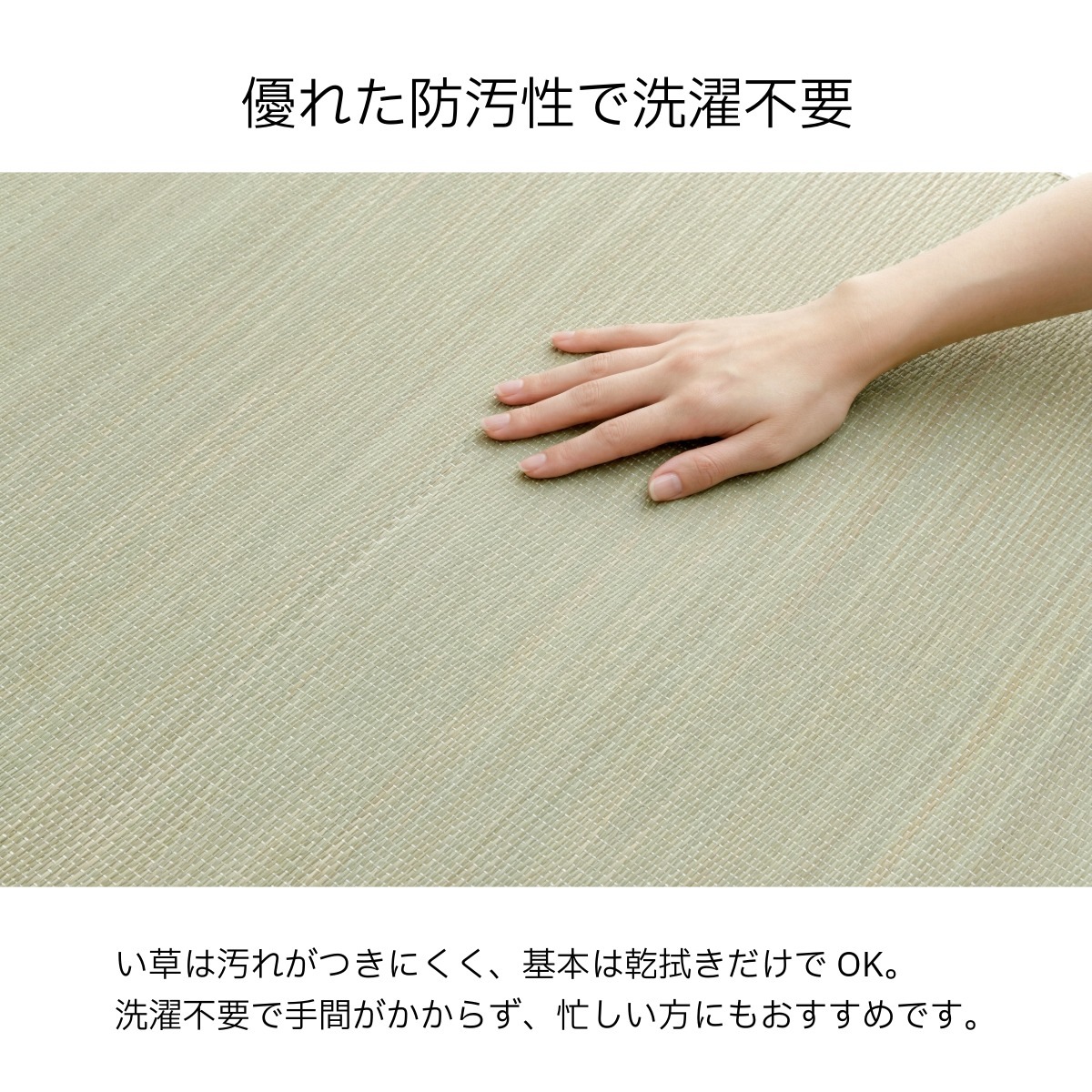 寝ござ い草シーツ スマート シングル 国産い草 80×180cm 無地 メセキ織