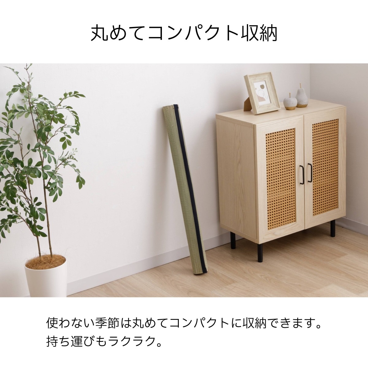 寝ござ い草シーツ スマート シングル 国産い草 80×180cm 無地 メセキ織