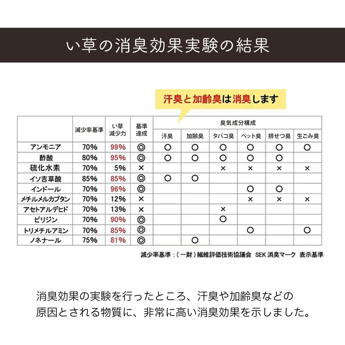 寝ござ い草シーツ ラーデ シングル 国産い草 80×180cm  メセキ織