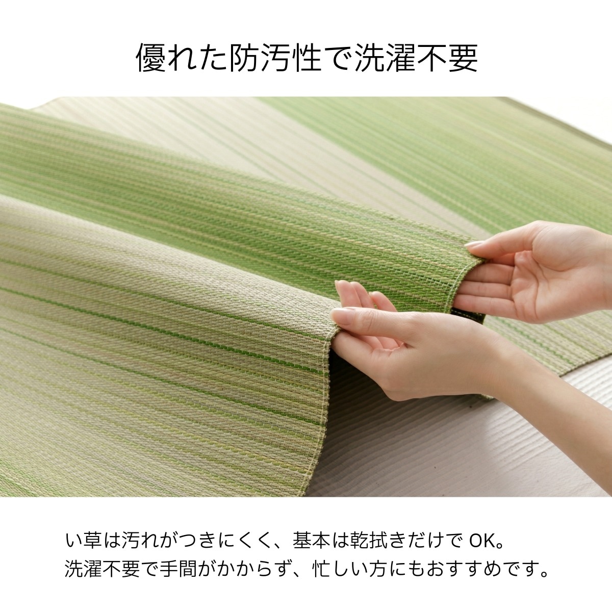 寝ござ い草シーツ ラーデ シングル 国産い草 80×180cm  メセキ織
