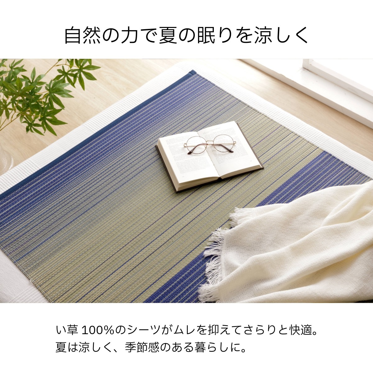 寝ござ い草シーツ ラーデ シングル 国産い草 80×180cm  メセキ織