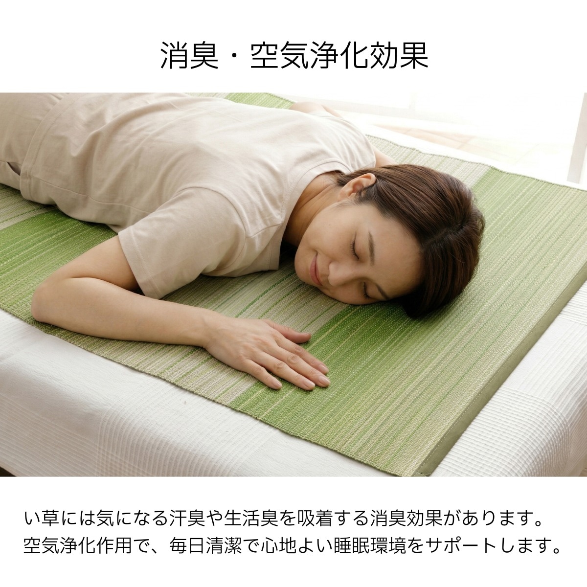 寝ござ い草シーツ ラーデ シングル 国産い草 80×180cm  メセキ織