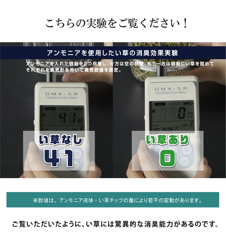い草 玄関マット Fビビアン 天然素材 室内マット