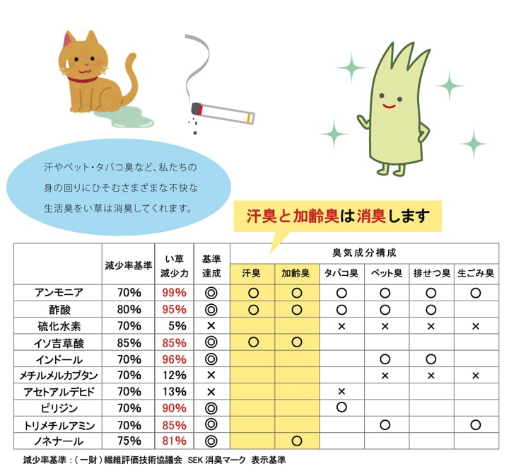 い草 玄関マット Fビビアン 天然素材 室内マット