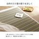 寝ござ い草シーツ 大目 シングル 国産い草 80×180cm 大目織