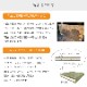 畳替え 樹脂 表替え 張り替え 【97cm×194cm以下】本間・三六間・六一間 美草 引目 積水 SEKISUI セキスイ MIGUSA 色あせしにくい