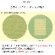 畳 表替え 和紙 ダイケン 清流 カラー 【97cm×194cm】 本間・三六間・六一間 大建 DAIKEN