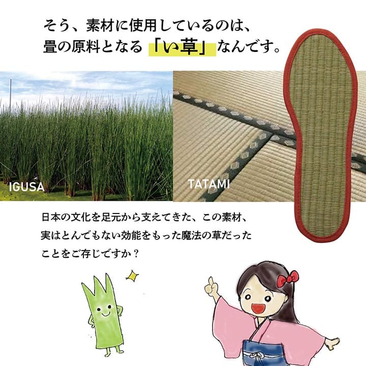 インソール い草 なでしこ 消臭 レディース キッズ 贈り物