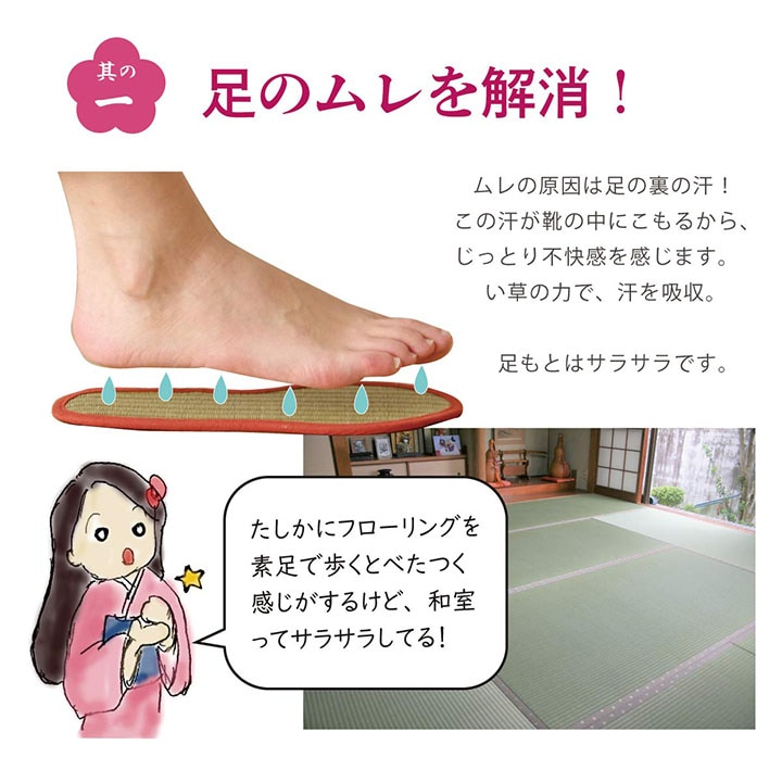 インソール い草 なでしこ 消臭 レディース キッズ 贈り物