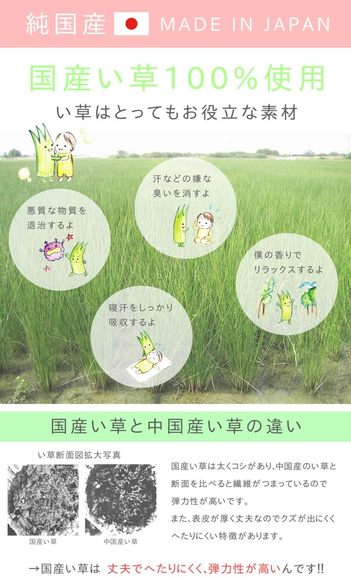 置き畳 ユニット畳 めちゃかる色畳 70cm 琉球畳 縁なし 軽量 国産い草 畳マット フローリング畳 約15mm
