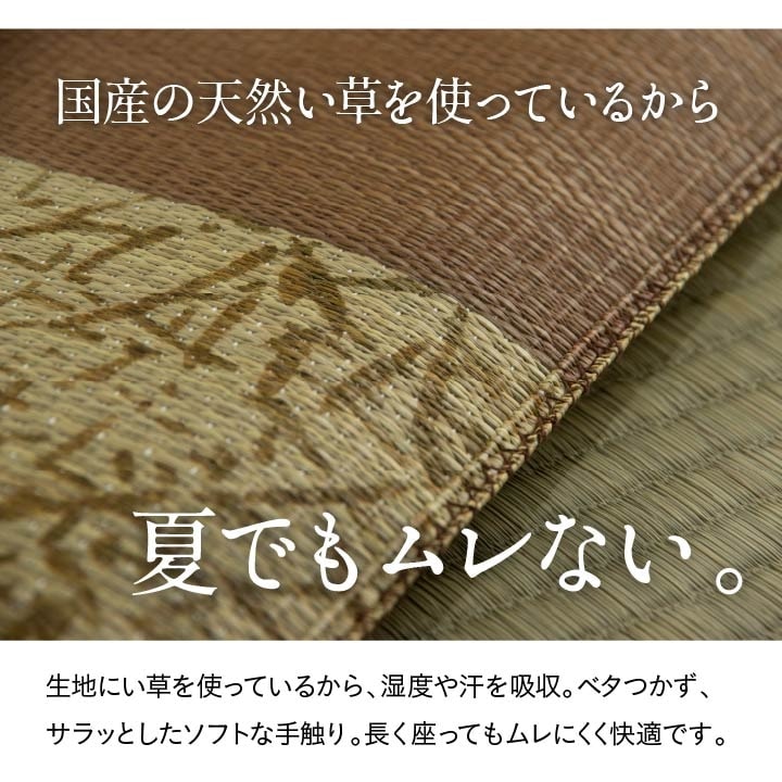 座布団 五右衛門 55×55cm い草 仏間和室 お盆 法事 和室 和風
