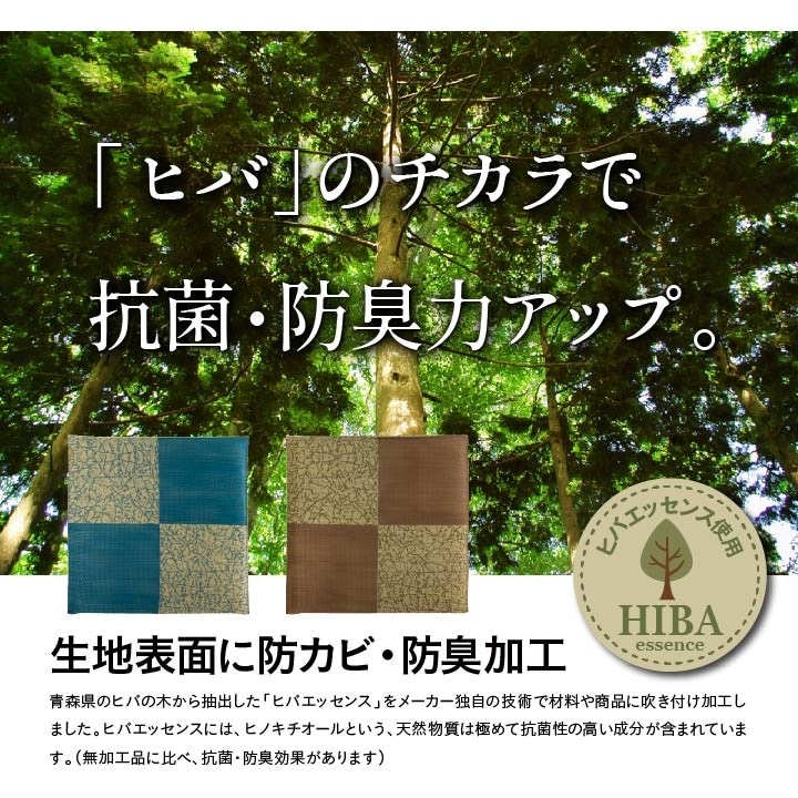 座布団 五右衛門 55×55cm い草 仏間和室 お盆 法事 和室 和風