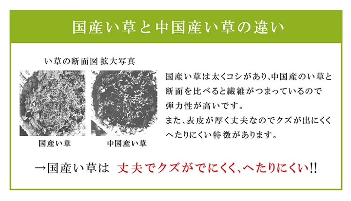 平枕 お父さん枕ハイパー 大サイズ い草 い草枕 父の日 敬老の日 プレゼント