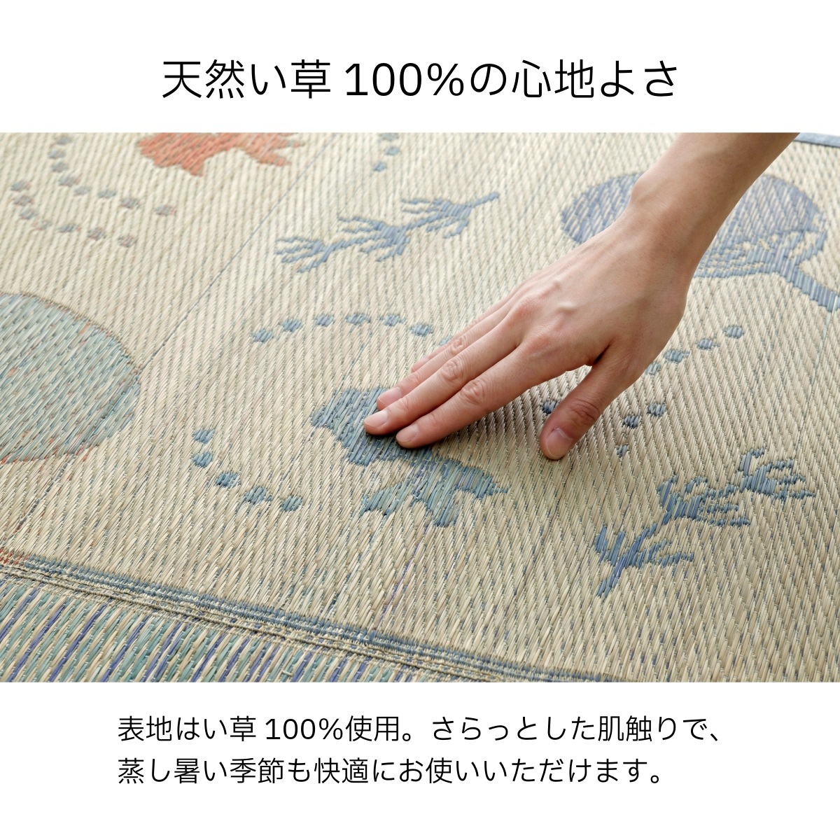 い草 ラグ 夕涼み 金魚｜イケヒコ公式通販