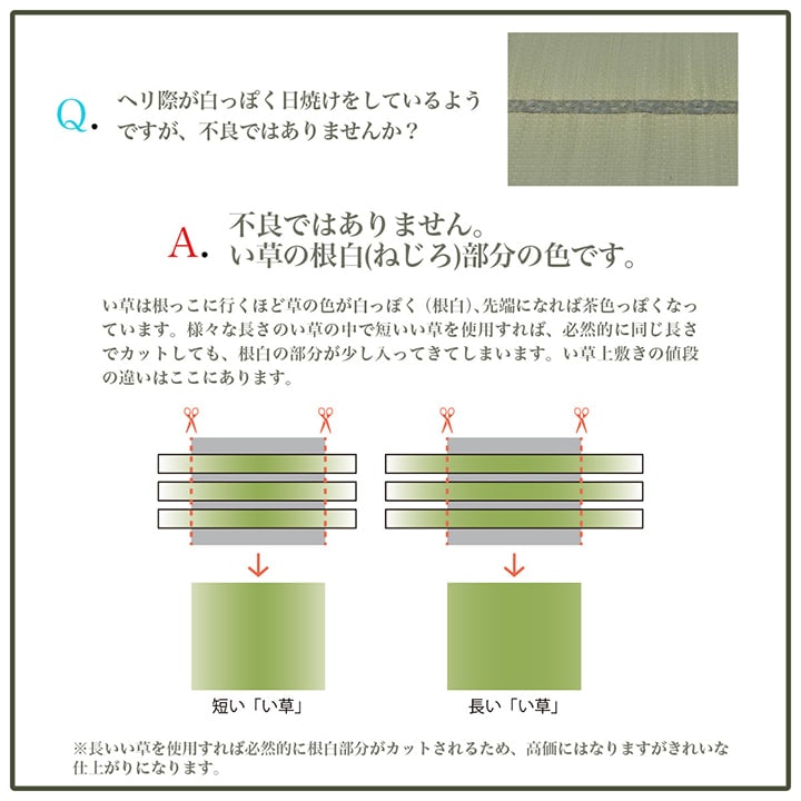 い草ラグ カーペット DXプレーン ナチュラル シンプル 国産 滑り止め