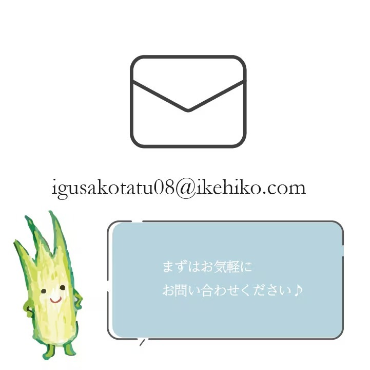 国産 い草 クッション 座布団 オーダーシリーズ cocodake 約40×40cm