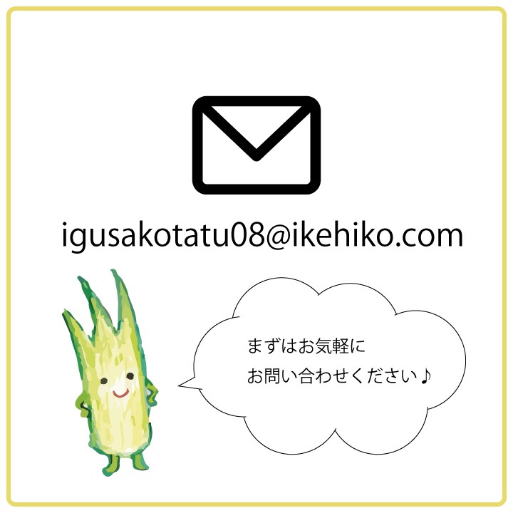 国産 い草クッション チェアパッド 受注生産 オーダーシリーズ cocodake 約38cm円形