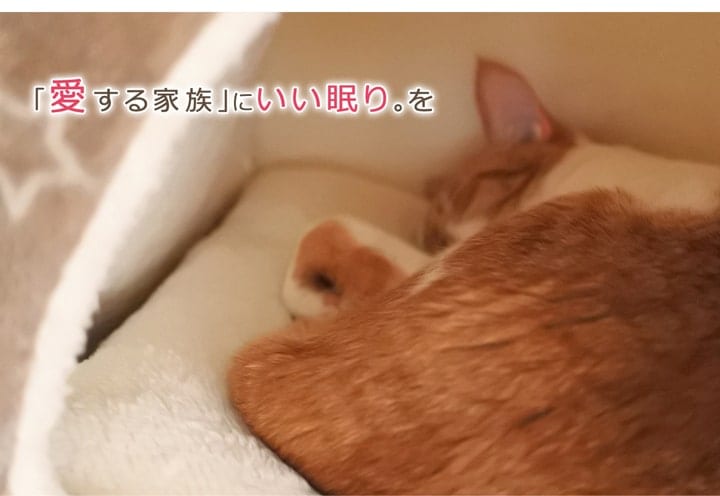 【新品未使用】BABYL 子狐根付け(横浜) 新品未使用】BABYL 子狐根付け(横浜) 楽天市場】限定SALE 楽天