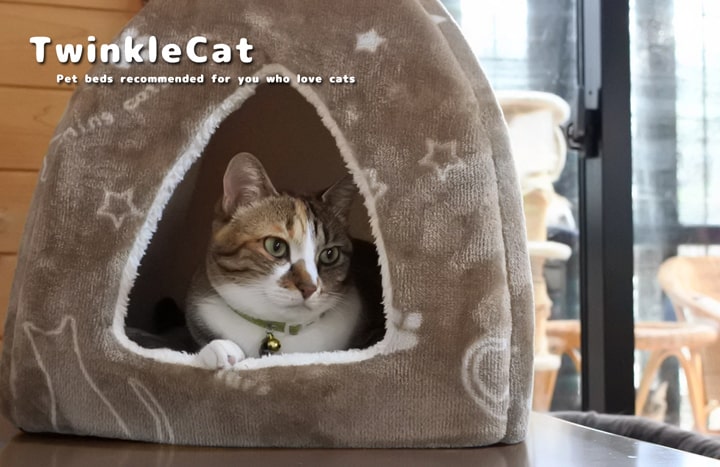 ペットベッド ツインクルキャット 3種類 テント ペット用