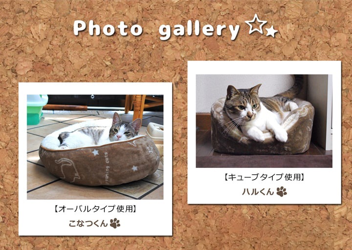 ペットベッド ツインクルキャット 3種類 テント ペット用